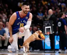 辽宁铁人引援最新消息